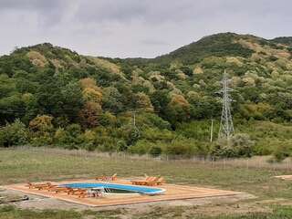 Гостевой дом PENSIUNEA AGROTURISTICA GREEN ODOBA Sătuc-7